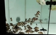  怎么調節水質硬度